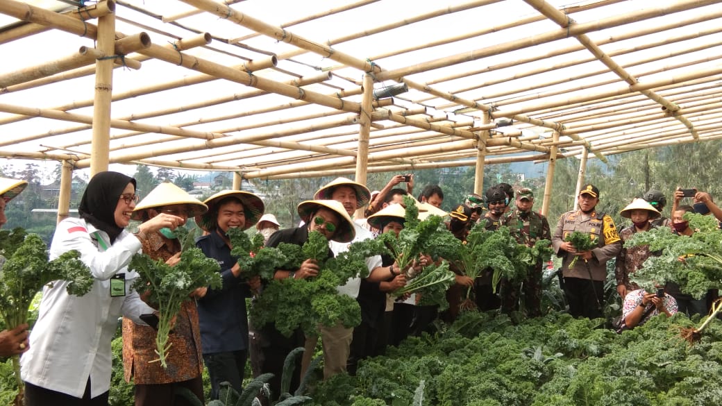 Danrem 073/Makutarama Dampingi Menteri Pertanian Panen Sayur